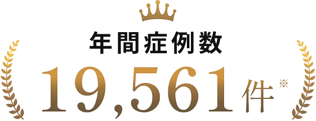 年間症例数 19,561件